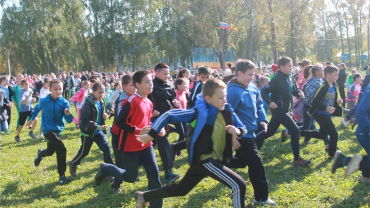 «Кросс нации-2016»: сотни спортсменов Урмарского района участвовали в этом спортивном празднике