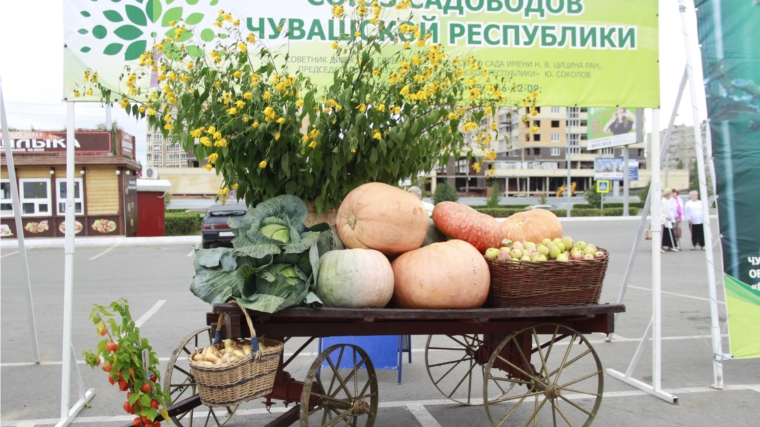 В Новочебоксарске продолжает свою работу сельскохозяйственная ярмарка «Дары осени-2016»