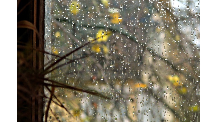 Завтра в Чебоксарах сохранится облачная погода с небольшими дождями
