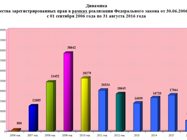 «Дачная амнистия» отметила 10-летие