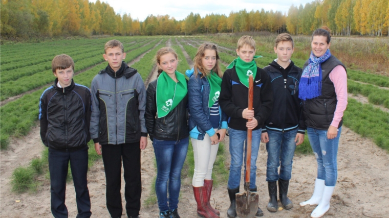 Учащиеся узнали о технологии выращивания сосны в питомнике Кирского лесничества