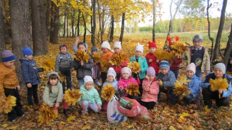 Шумерлинские дошколята приняли участие во всероссийской осенней акции «Живи, лес!»