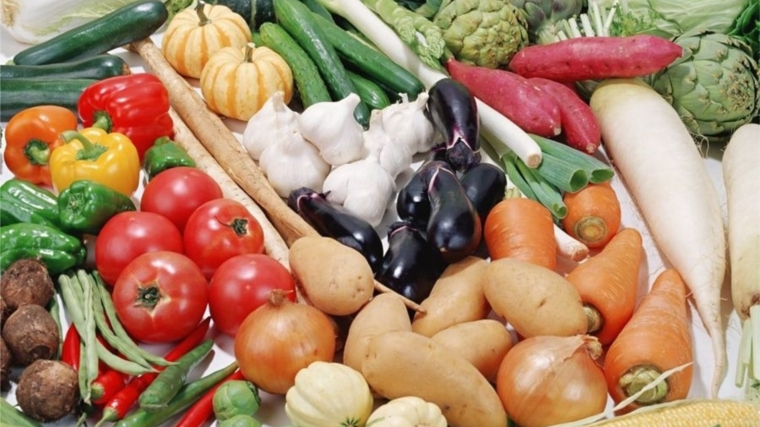 Около 80 тонн сельхозпродукции реализовано в Шумерле в ходе ярмарки «Дары осени – 2016»