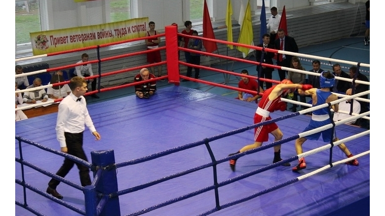 Боксеры города Канаша завоевали четыре медали ежегодного Всероссийского турнира в г.Цивильск