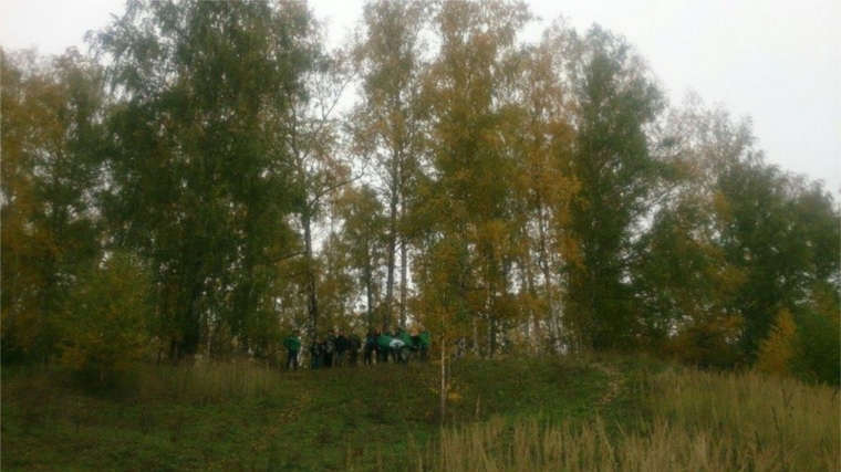 Обучающиеся Шумерлинского городского муниципального штаба «ЭКА» приняли активное участие во Всероссийской акции «Леса России»