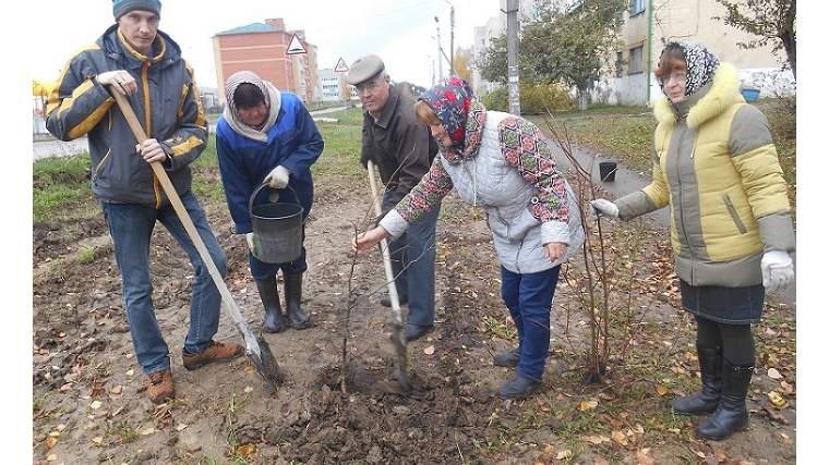 В рамках акции «Посади дерево и сохрани его» в Красноармейском сельском поселении прошел экологический субботник по посадке деревьев