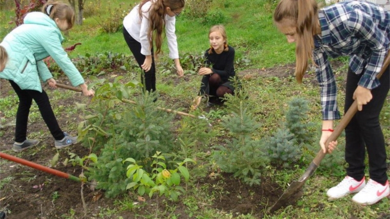 Центр детского творчества города Шумерли - призер республиканской акции «Посади дерево и сохрани его»