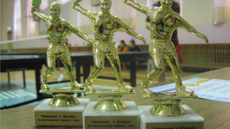 Определены чемпионы города Канаш по настольному теннису сезона 2016 года среди мужчин в личном разряде