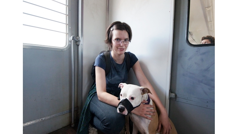 Транспортировка домашних животных на железнодорожном транспорте