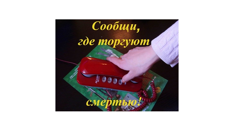 В Шумерле организована «горячая линия» по фактам незаконного сбыта наркотических средств