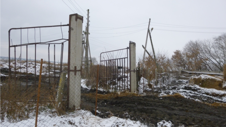 В агрофирме «Кольцовка» в целях по соблюдению ветеринарных санитарных правил прошли работы по огорожению территории по периметру