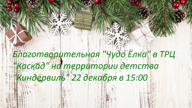 22 декабря детей, проживающих в приемных семьях, семьях опекунов, приглашают на благотворительную «Чудо Ёлку»