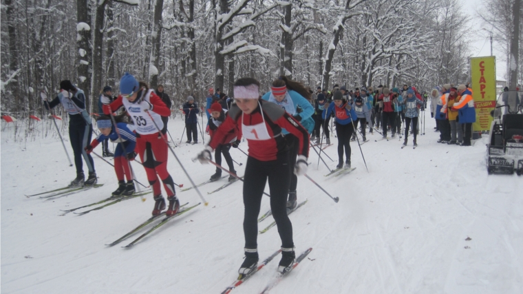 В городе Канаш прошли соревнования по лыжным гонкам на дистанциях, соответствующих выполнению тестовых нормативов ВФСК «Готов к труду и обороне»