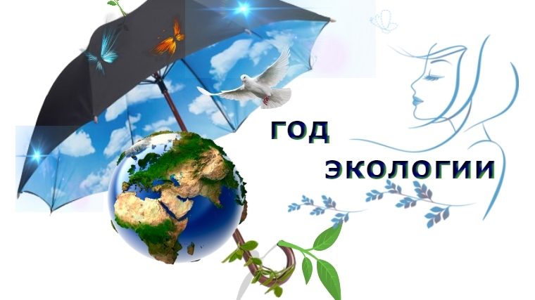 О подготовке к проведению Года экологии в 2017 году в городе Чебоксары