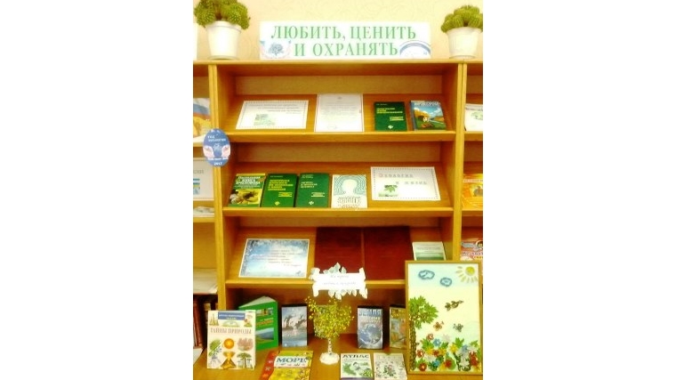 _В Новошимкусской сельской библиотеке открылась выставка, посвященная Году экологии