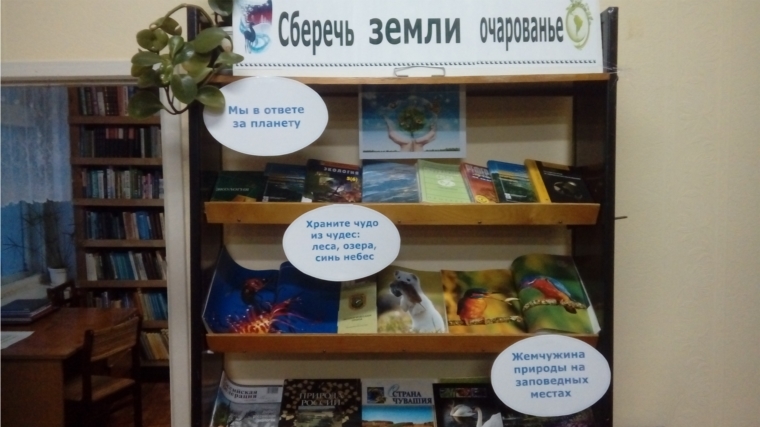 В Янтиковской центральной библиотеке открылась масштабная выставка-экспозиция «Сберечь земли очарованье» посвящённая Году экологии в России