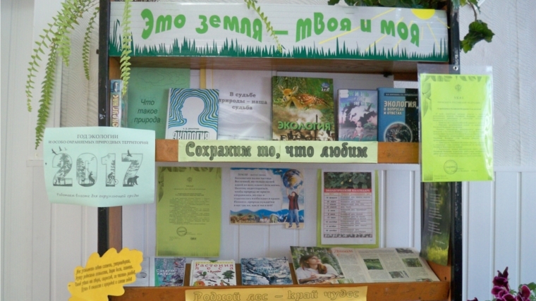К Году экологии в Яншихово-Норвашской библиотеке оформлена выставка