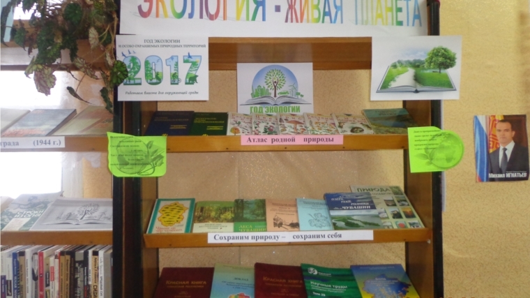 В Шимкусской библиотеке организована книжная выставка – вернисаж «Экология – живая планета»