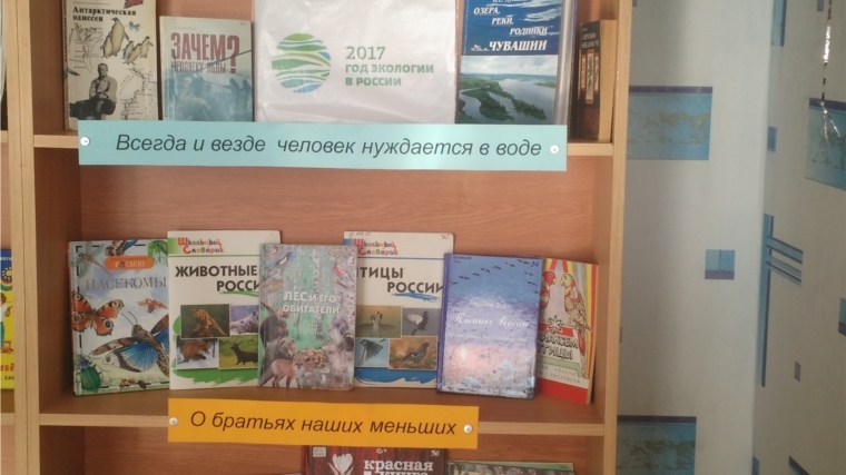 В Конарской сельской библиотеке действует книжная выставка «Береги свою планету»