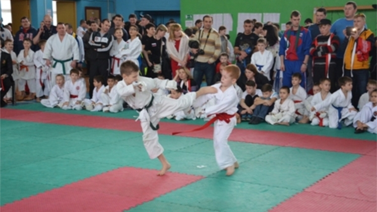 В Чувашии прошли Всероссийские соревнования по всестилевому каратэ