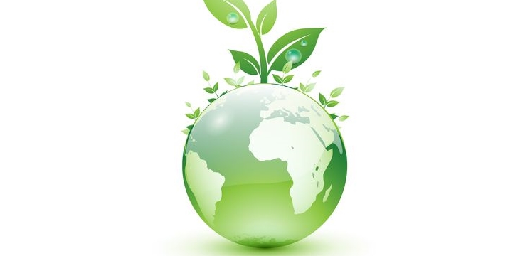 В библиотеках Шумерлинского района подведены итоги 1 этапа экологической акции «Эко-я! Эко-мы! Эко-мир!»