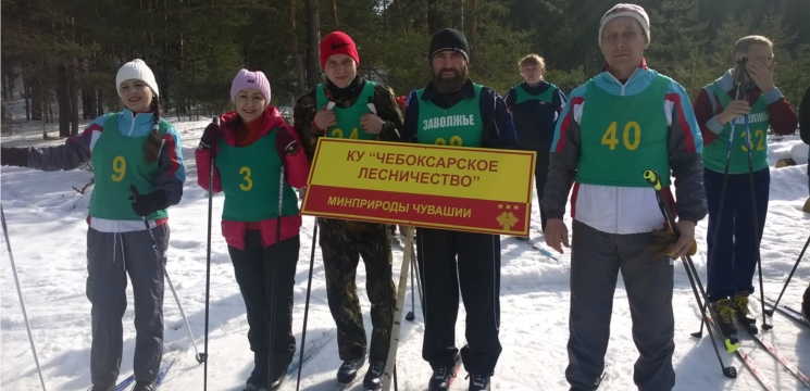 Команда Чебоксарского лесничества приняла участие в спартакиаде Заволжья по лыжным гонкам