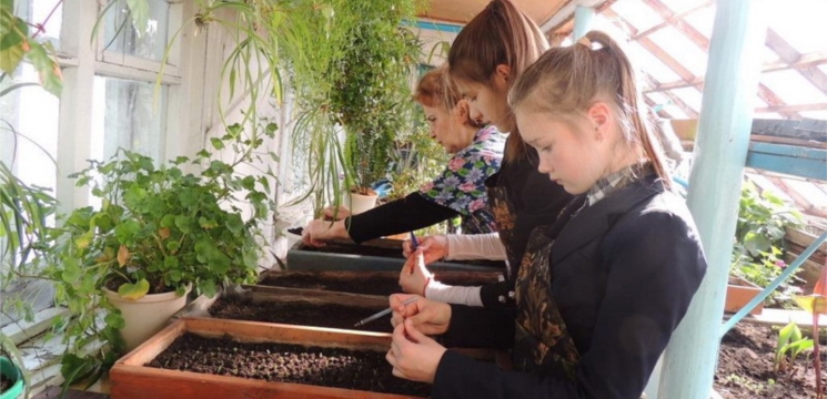 Юные экологи Центра детского творчества города Шумерли поделились цветочной рассадой с образовательными учреждениями