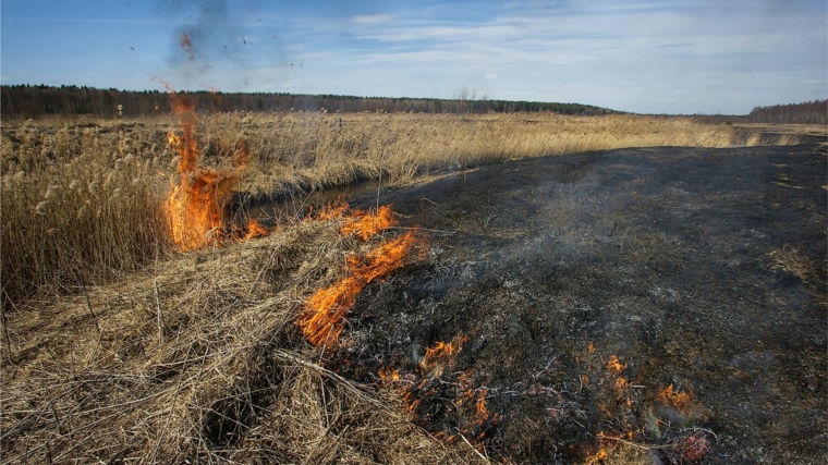 Предупредить пожары от пала сухой травы