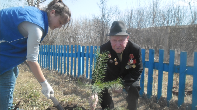 Посади дерево с ветераном