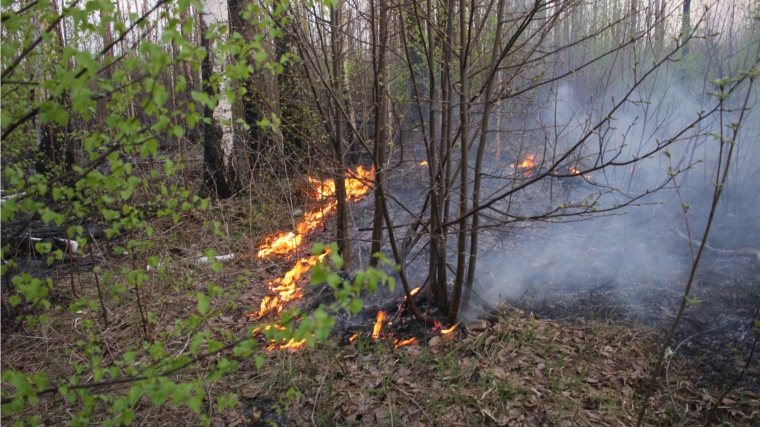 Министр природных ресурсов и экологии выехал на места возгорания в Алатырском районе