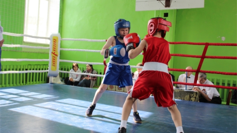 В Канаше стартовал V открытый республиканский турнир по боксу