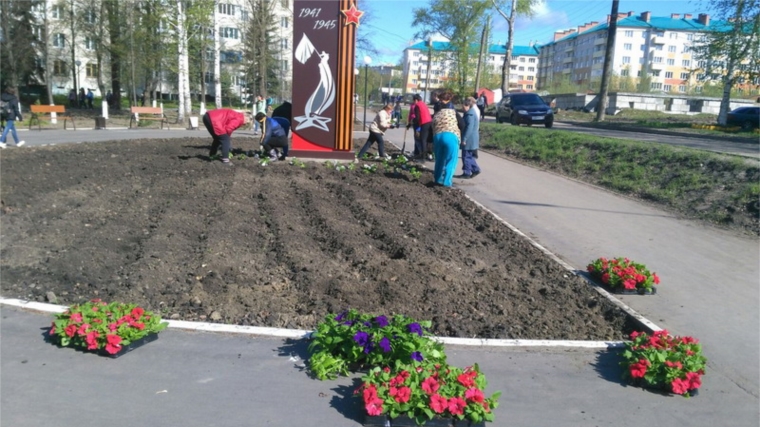 Цветы Победы