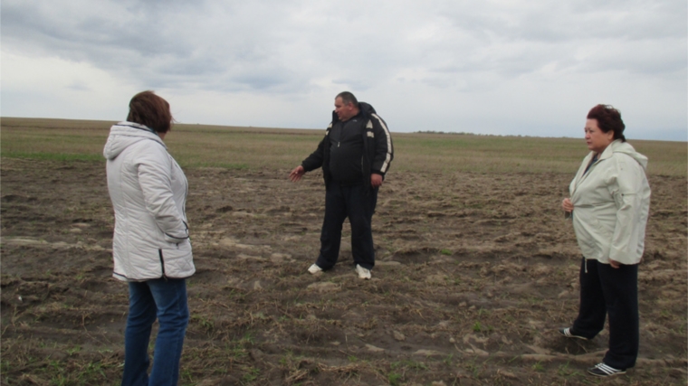 Заместитель министра сельского хозяйства Н.Б.Гладкова ознакомилась с ходом весенне-полевых работ в Алатырском районе
