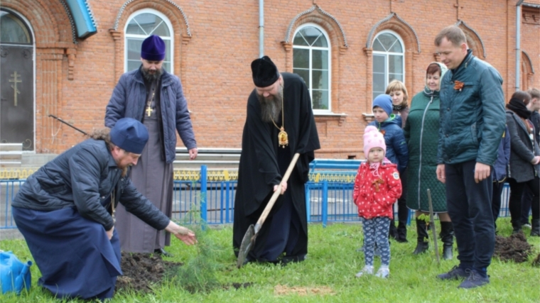 В Канаше активно проходит экологическая акция «Посади дерево»