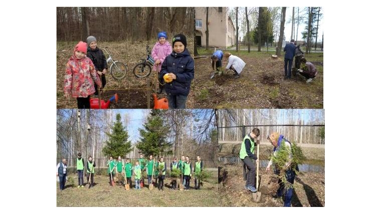 В Ядринском районе проходит экологическая акция «Посади дерево с семьей»