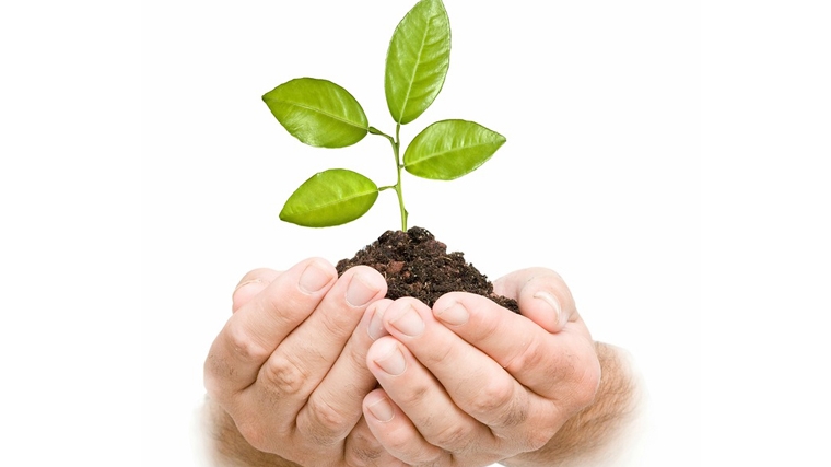 В Новочебоксарском центре социального обслуживания населения объявлена социальная акция «Посади свое дерево»