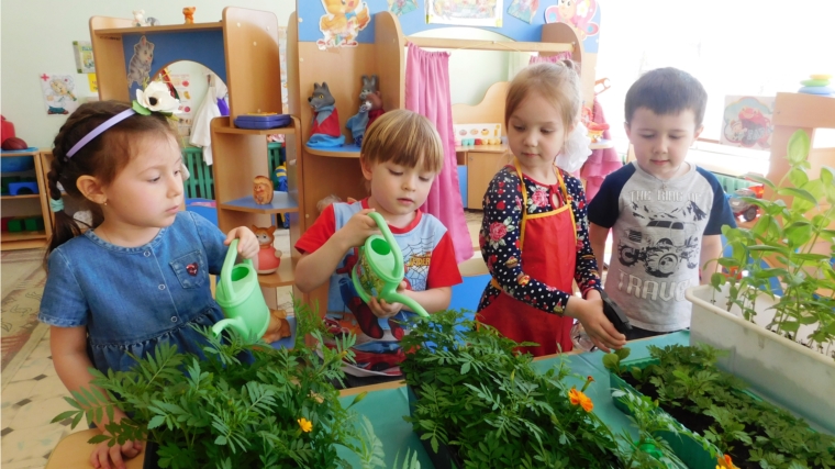 «Поможем природе вместе!»: в столичных детских садах реализуются проекты по экологическому воспитанию