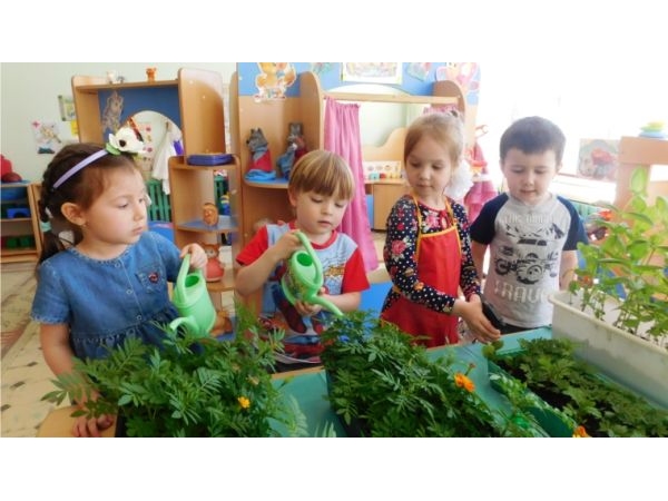 Проекты по экологическому воспитанию реализуются в детских садах г. Чебоксары
