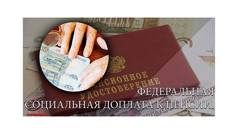 Подать заявление об установлении федеральной социальной доплаты к пенсии можно будет в онлайн-режиме