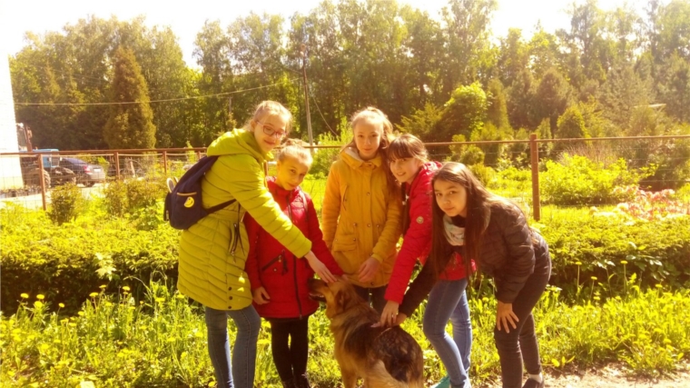 Чебоксарские школьники участвуют в мероприятиях в рамках Года экологии