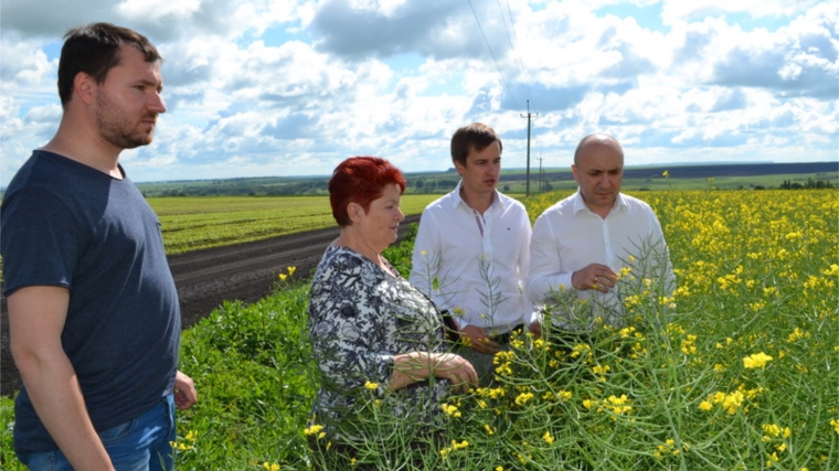 Министр сельского хозяйства Чувашии Сергей Артамонов с рабочим визитом посетил Порецкий район
