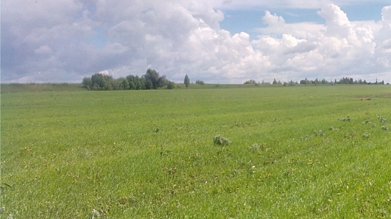 Проверено целевое использование земель сельскохозяйственного назначения в Чебоксарском районе