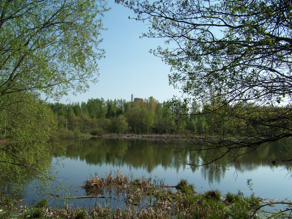 В озере Ботанического сада купание запрещено