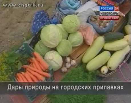 В Чебоксарах заработали 60 площадок по продаже сельскохозяйственной продукции