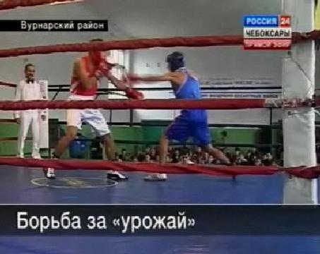 Бокс вернулся под знамена сельского спортивного общества.