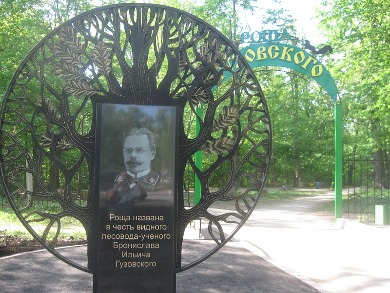 Парк гузовского чебоксары