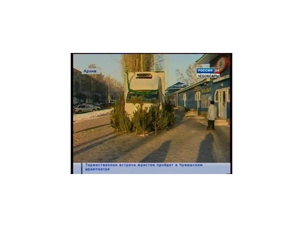 В Чебоксарах определили места торговли живыми елями и пиротехникой