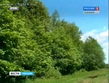 В Чувашии арендаторы леса не доплатили в казну 30 миллионов рублей