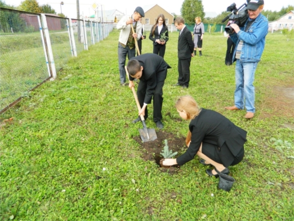 Юные лесники Янтиковской школы сажают голубые ели
