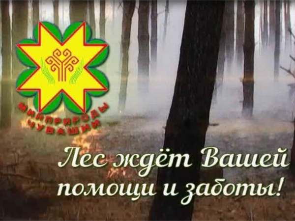 Ролик &quot;Лес ждёт вашей помощи и заботы!&quot;